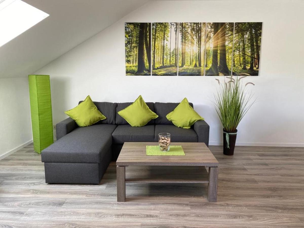 ווינטרברג Ferienwohnung Frieda Mit Ueberdachtem Balkon מראה חיצוני תמונה
